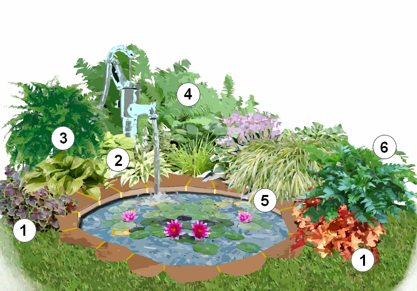 Massifs autour de bassins de jardin